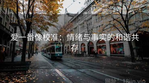 爱一番像校准：情绪与事实的和谐共存