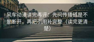 风车动漫读完再评：先问传播链是不是断开，再把引用补完整（读完更清楚）