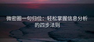 微密圈一句归位：轻松掌握信息分析的四步法则