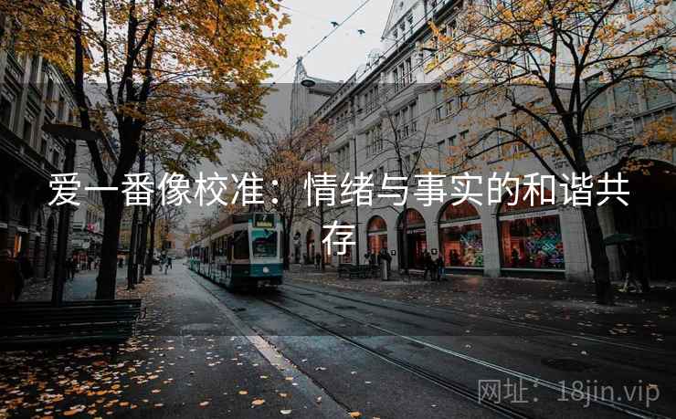 爱一番像校准:情绪与事实的和谐共存 爱一番像校准:情绪与事实的和谐共存