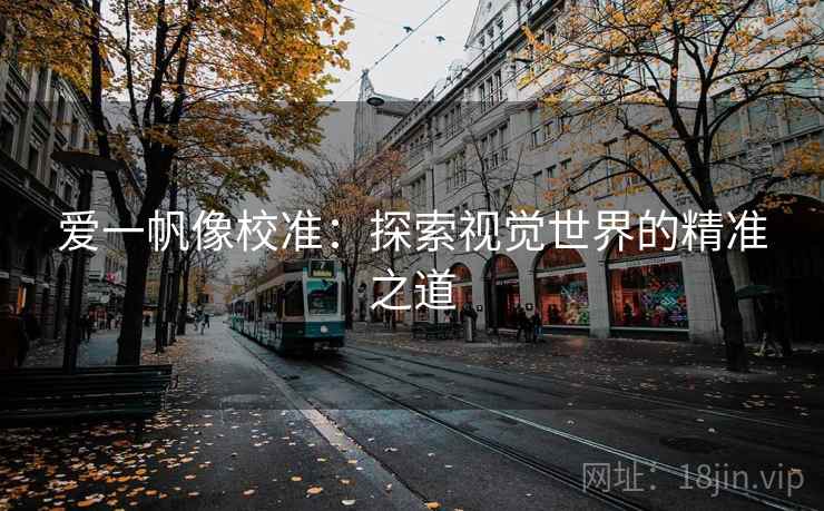 爱一帆像校准：探索视觉世界的精准之道