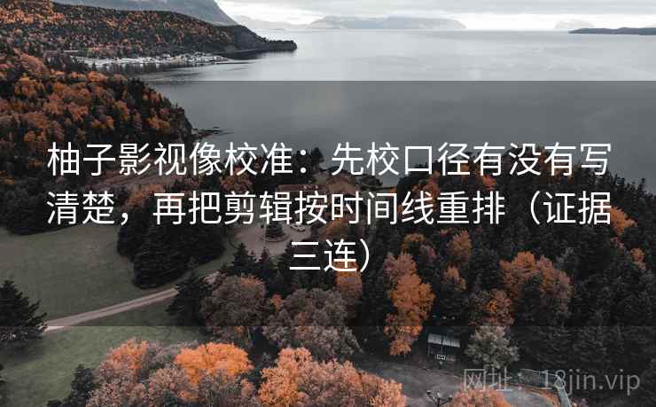 柚子影视像校准：先校口径有没有写清楚，再把剪辑按时间线重排（证据三连）